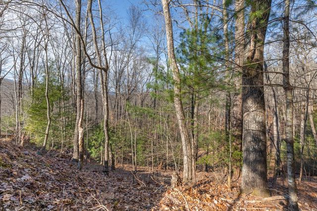 168 Buckskin Drive, Cherry Log, GA 30522