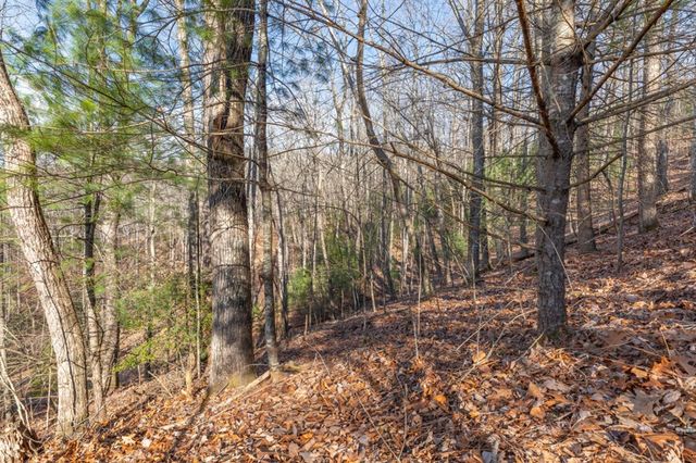 168 Buckskin Drive, Cherry Log, GA 30522