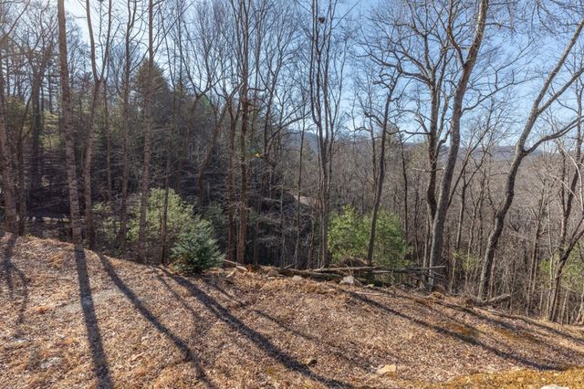 168 Buckskin Drive, Cherry Log, GA 30522