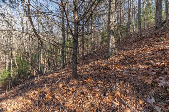 168 Buckskin Drive, Cherry Log, GA 30522