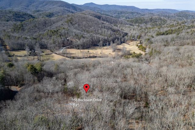 168 Buckskin Drive, Cherry Log, GA 30522