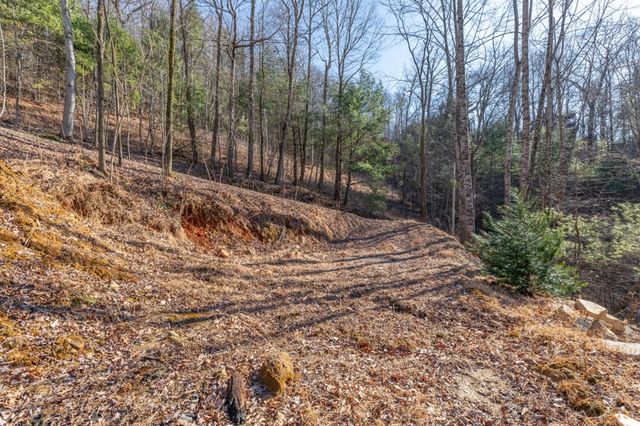 168 Buckskin Drive, Cherry Log, GA 30522