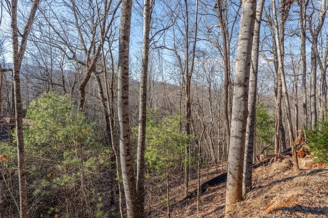 168 Buckskin Drive, Cherry Log, GA 30522