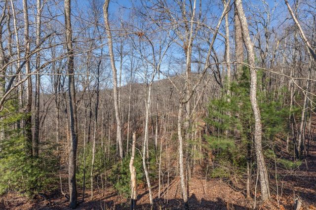 168 Buckskin Drive, Cherry Log, GA 30522