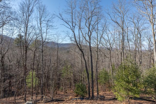 168 Buckskin Drive, Cherry Log, GA 30522