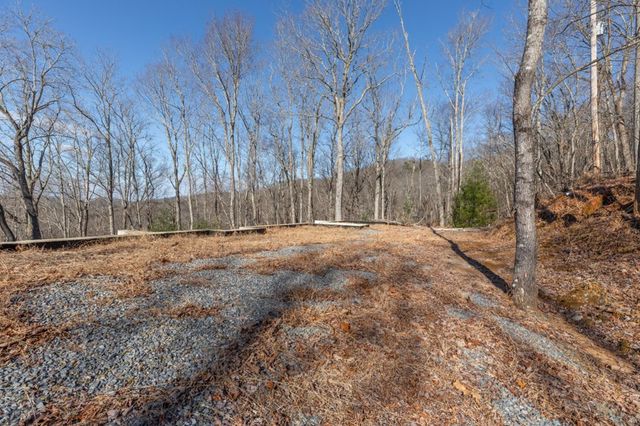 168 Buckskin Drive, Cherry Log, GA 30522