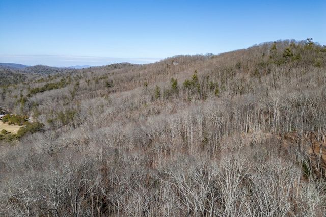 168 Buckskin Drive, Cherry Log, GA 30522