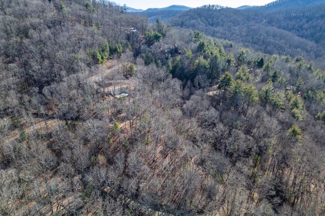 168 Buckskin Drive, Cherry Log, GA 30522