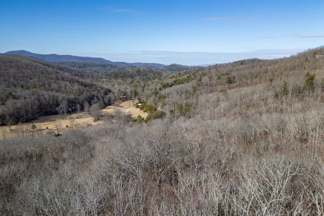 168 Buckskin Drive, Cherry Log, GA 30522