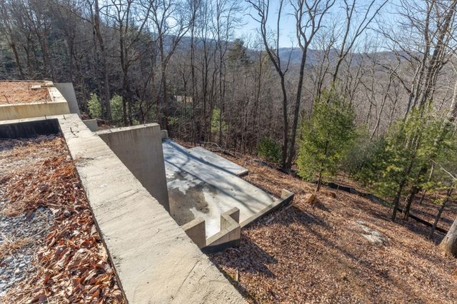 168 Buckskin Drive, Cherry Log, GA 30522