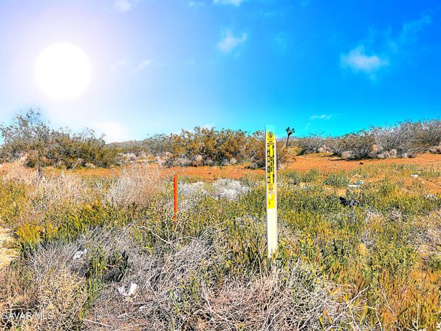 Cor 110th Ste Pav, Sun Village, CA 93543