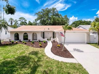 603 IVEY LANE, Tarpon Springs, FL 34689