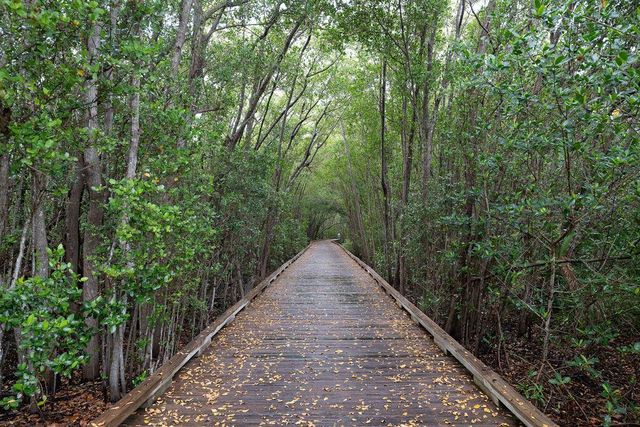9931 SE Osprey Pointe Drive, Hobe Sound, FL 33455