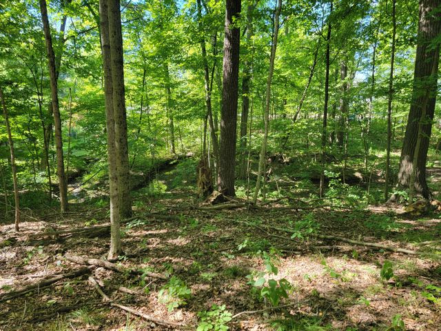 6152 Jaycox Road, Galena, OH 43021