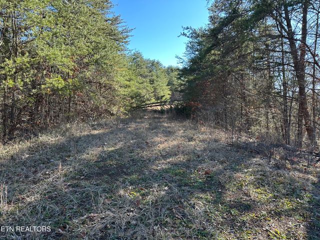 907 Sharp Rd, Sevierville, TN 37876