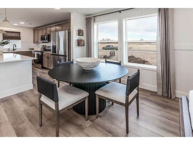 928 Trumpet Ln, Windsor, CO 80550