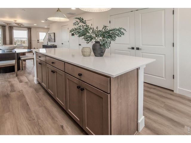 928 Trumpet Ln, Windsor, CO 80550