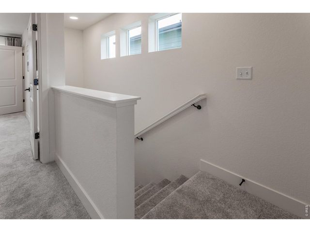 928 Trumpet Ln, Windsor, CO 80550
