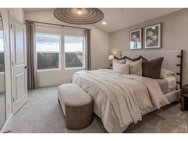 928 Trumpet Ln, Windsor, CO 80550