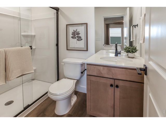 928 Trumpet Ln, Windsor, CO 80550