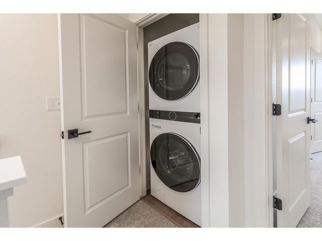 928 Trumpet Ln, Windsor, CO 80550