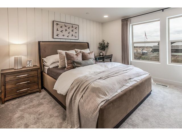 928 Trumpet Ln, Windsor, CO 80550