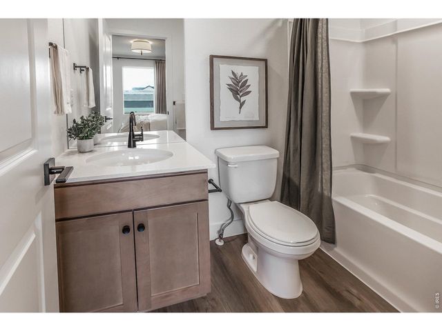 928 Trumpet Ln, Windsor, CO 80550