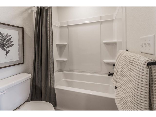 928 Trumpet Ln, Windsor, CO 80550