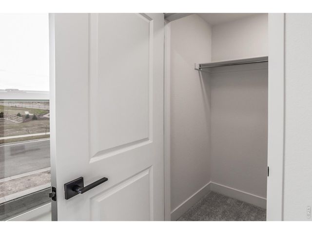 928 Trumpet Ln, Windsor, CO 80550