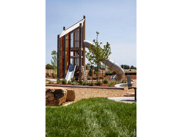 928 Trumpet Ln, Windsor, CO 80550