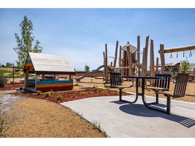 928 Trumpet Ln, Windsor, CO 80550