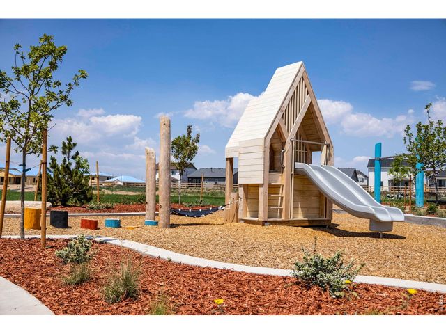 928 Trumpet Ln, Windsor, CO 80550