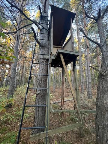 3498 Lindeman Road, Manistee, MI 49660