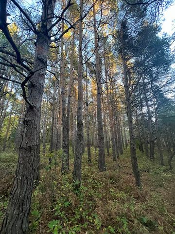 3498 Lindeman Road, Manistee, MI 49660