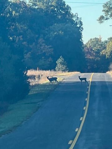 3498 Lindeman Road, Manistee, MI 49660