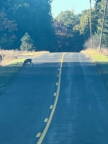 3498 Lindeman Road, Manistee, MI 49660