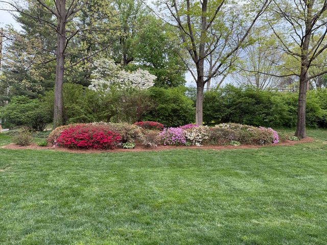 263 S ROBERTS RD, Bryn Mawr, PA 19010