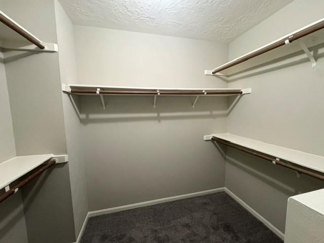 311 Birch Hill Drive, Sugar Land, TX 77479