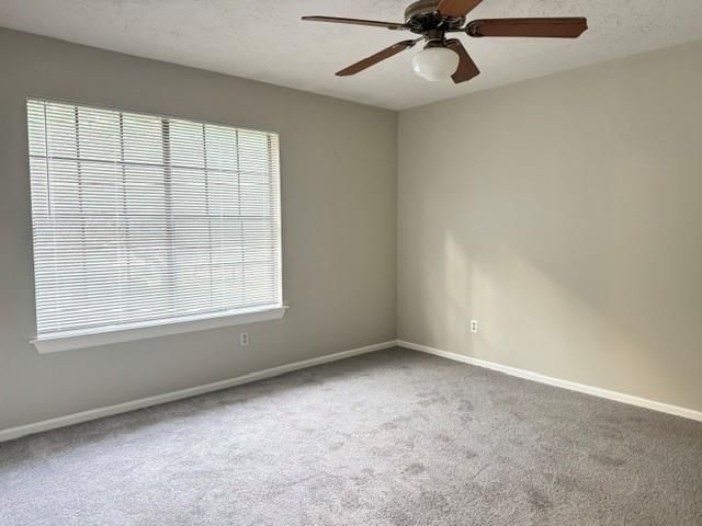 311 Birch Hill Drive, Sugar Land, TX 77479