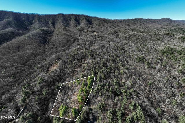 Lot 39 Bear Ridge Drive, Butler, TN 37640