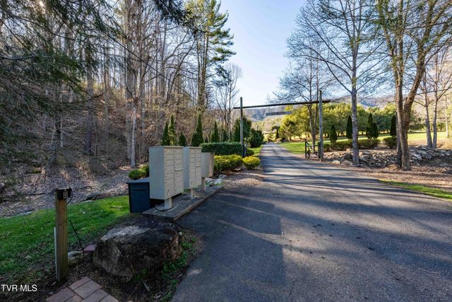 Lot 39 Bear Ridge Drive, Butler, TN 37640