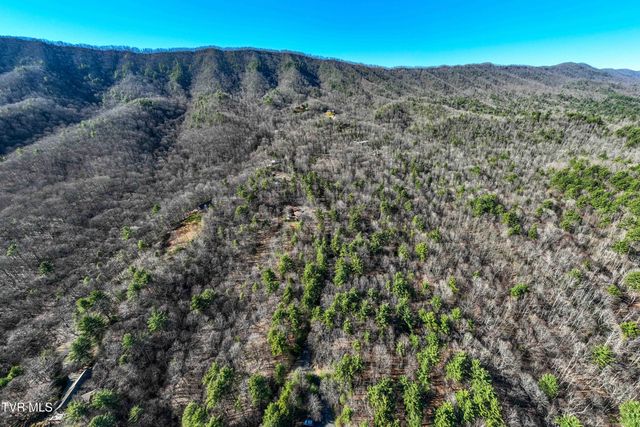 Lot 39 Bear Ridge Drive, Butler, TN 37640