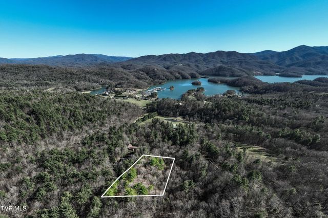 Lot 39 Bear Ridge Drive, Butler, TN 37640