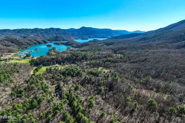 Lot 39 Bear Ridge Drive, Butler, TN 37640