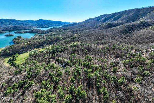 Lot 39 Bear Ridge Drive, Butler, TN 37640