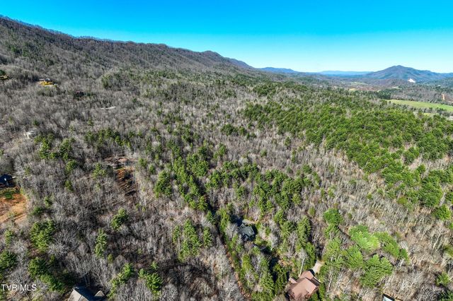 Lot 39 Bear Ridge Drive, Butler, TN 37640