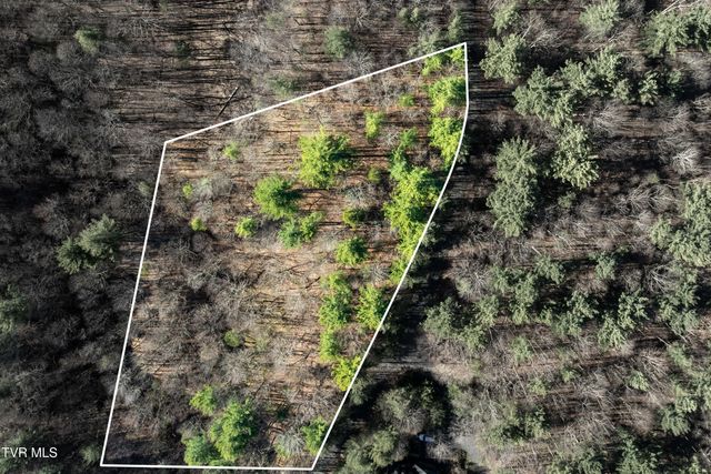 Lot 39 Bear Ridge Drive, Butler, TN 37640
