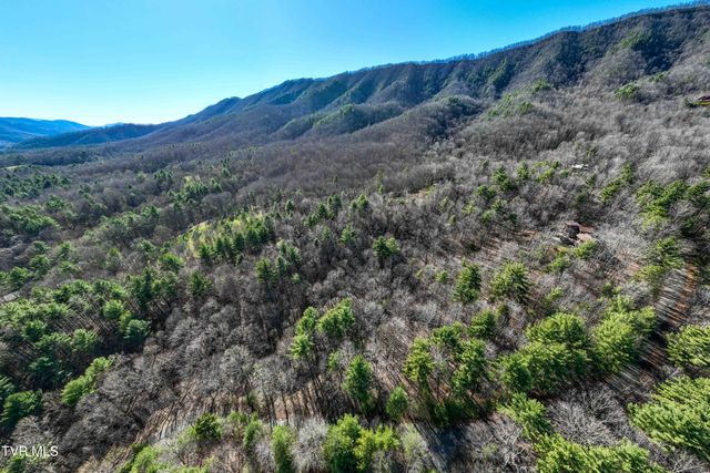 Lot 39 Bear Ridge Drive, Butler, TN 37640