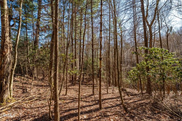 Lot 39 Bear Ridge Drive, Butler, TN 37640