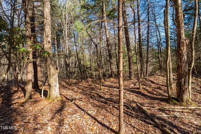 Lot 39 Bear Ridge Drive, Butler, TN 37640
